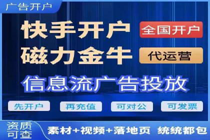 SEM优化策略案例分析
